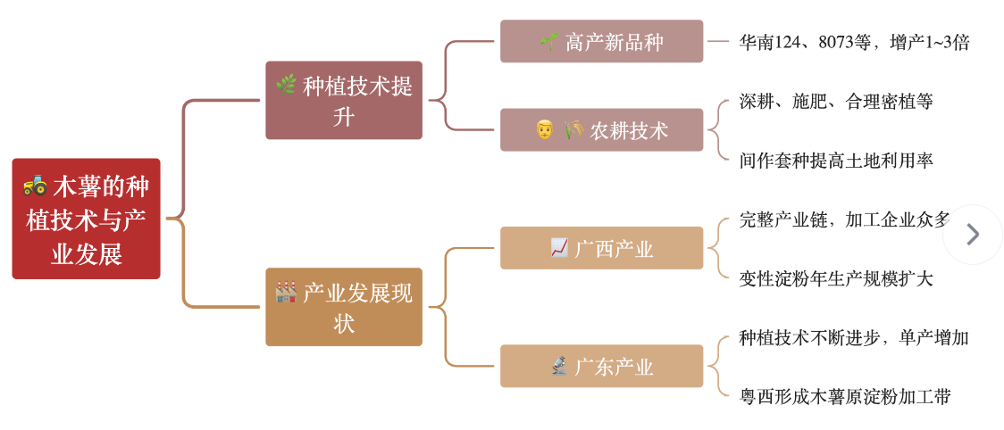 马普托大学农学院突破木薯深加工技术 葡莫合作延伸粮食产业链